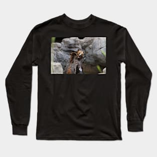 Playful Grizzly Long Sleeve T-Shirt